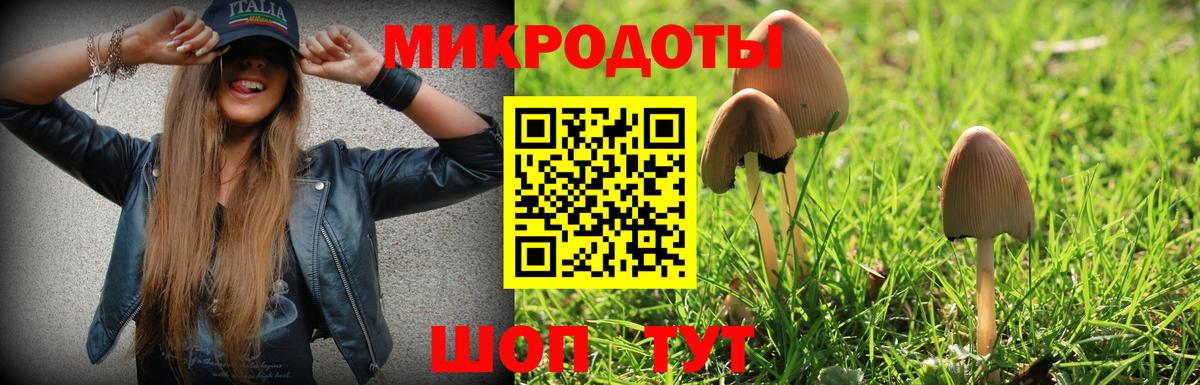 Галлюциногенные грибы Psilocybine cubensis  Вход с VPN  Таганрог 